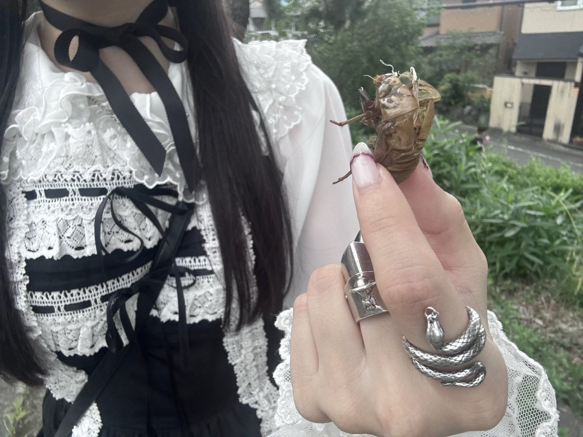 47_82184's tweet photo. 気付けば夏が、こんなところにまで https://t.co/YdBrgIonwL