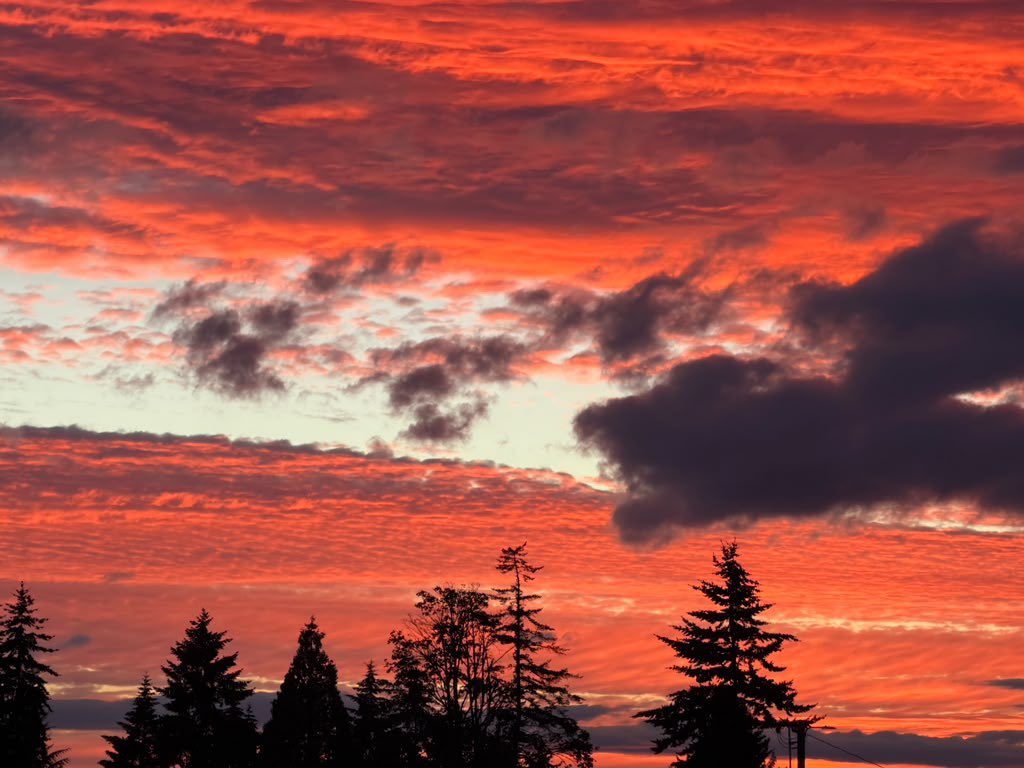 karisai002's tweet photo. Las cosas lindas se comparten…el cielito en mi casa hoy🧡🧡🧡
#Sunset #NWP https://t.co/u41vv0lBam