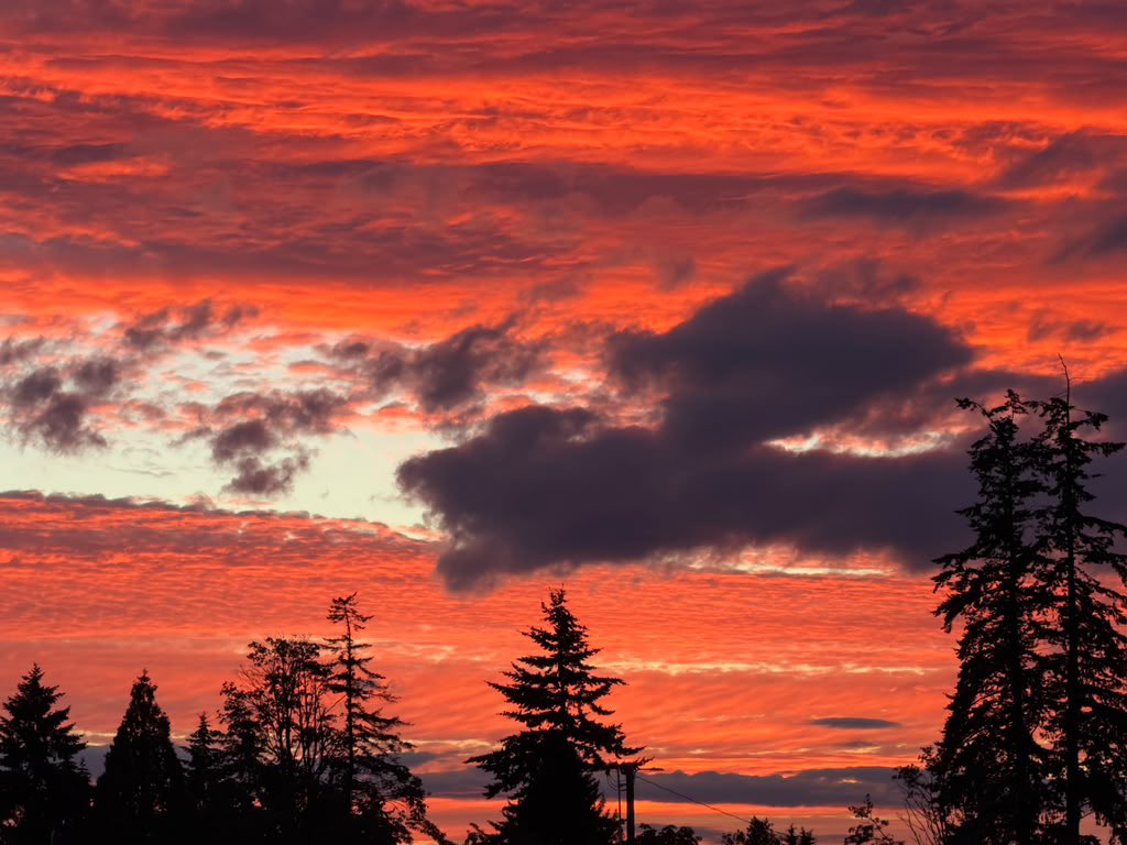 karisai002's tweet photo. Las cosas lindas se comparten…el cielito en mi casa hoy🧡🧡🧡
#Sunset #NWP https://t.co/u41vv0lBam