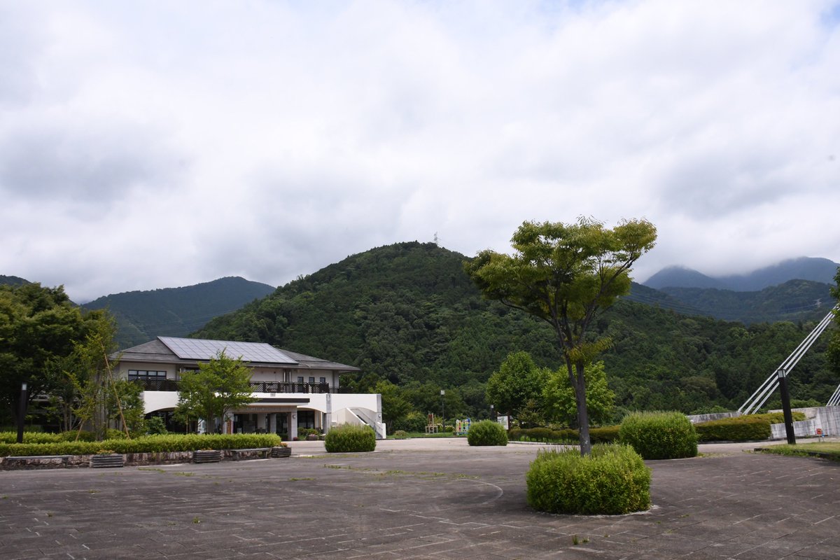 HadanoVC's tweet photo. 8時40分の気温26.1度 晴れ
丹沢の山々は徐々に広がった雲に隠れてきました。
咲いていた #ヘクソカズラ の花の根元に傷を発見。口が短く細長い花の蜜が正攻法で吸えない #キムネクマバチ などの盗蜜の痕です。根元付近に穴をあけて花粉を運ぶことなく蜜だけ吸っていきます。
ぜひ探してみてください！ https://t.co/KvXsI3EKdx