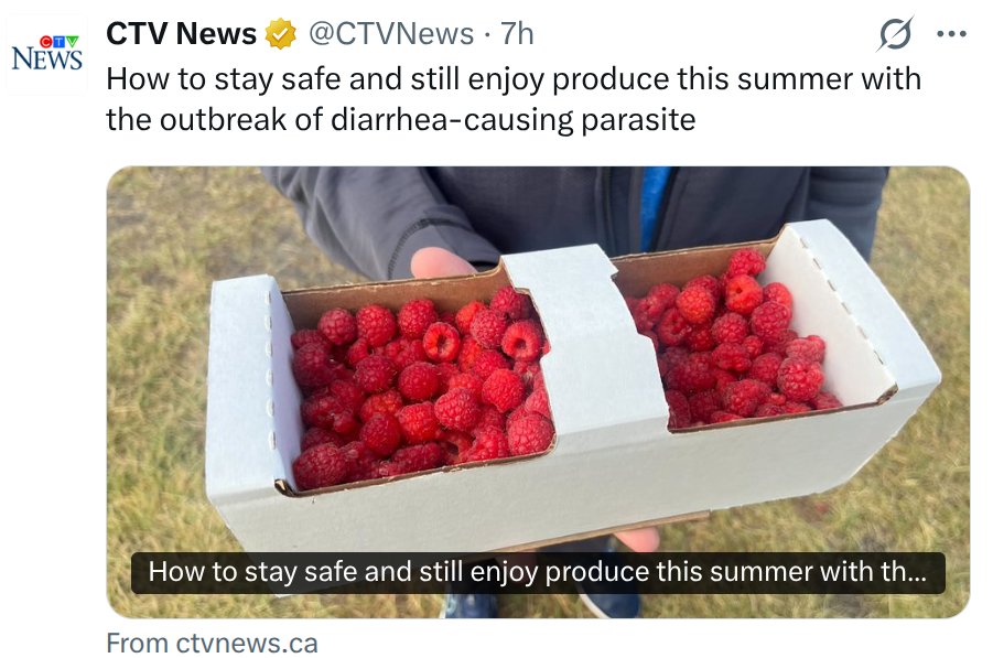 bcbluecon's tweet photo. Easy peasy.

To not get these diarrhea-causing parasites.

Avoid all BC fruit/vegetable growers who let their pickers shit in the fields.

You know who I mean. https://t.co/bu856FuGF9