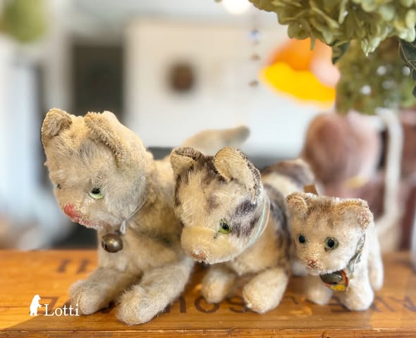 Lotti_room's tweet photo. 🌟Onlineshop更新🌟
「ちびねこと、雨音と、リボンと。」
に並んでる
買い付けの古いねこさんたちを
upしました
シュタイフ、ハーマン
DDRのねこさんも。
しましまのTabby catが好きなので
ついつい集まってきますね
クセつよな子もお好きな方がいればな😆
ご覧くださいね🐈🐈‍⬛
https://t.co/Hvr0VBKsMp https://t.co/Y34DmPNLHM