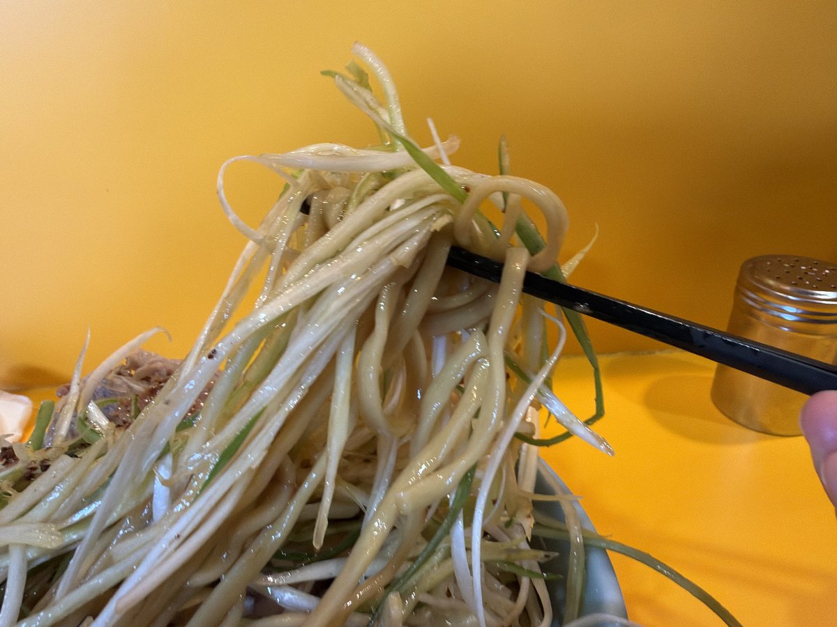 2026.7.11(土)ラーメン二郎八王子野猿街道店2・ひやこ少なめネギYsNsA