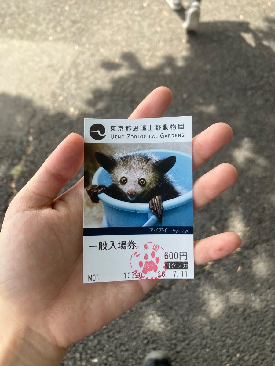 池田 tweet media