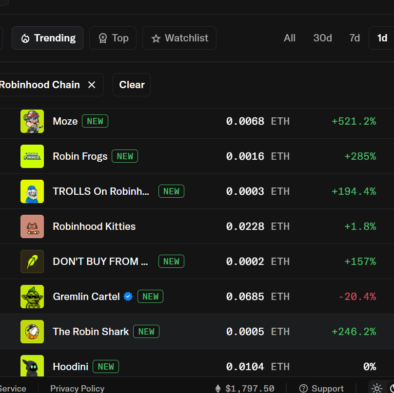 Robinhoodkitty tweet media