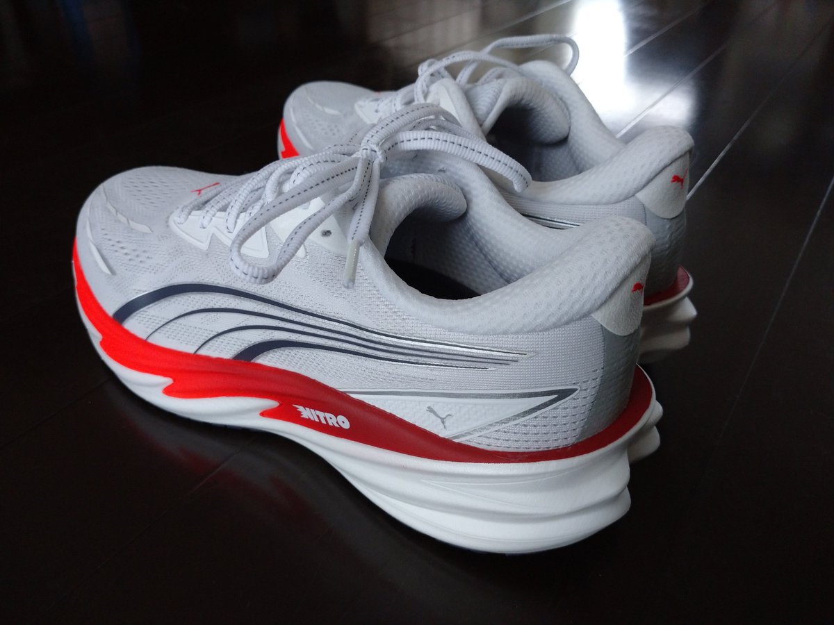 road_to_hakone's tweet photo. jog用シューズを新調
ヴェロシティ ニトロ5

#PUMA
#ヴェロシティニトロ5
#富山マラソン https://t.co/BCnuAZcfkN