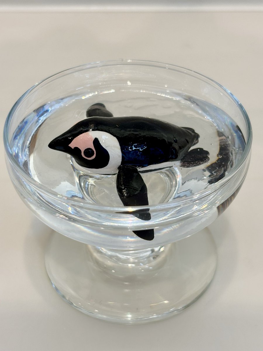 GalleryHippo's tweet photo. 今日からペンギン展が始まりました。ペンギンだらけのギャラリーに是非遊びに来てください！
会期は7月26日(日曜日)まで〈水曜日定休〉
詳細はGALLER HIPPOのHPをご覧ください。
https://t.co/2Uwrds0DyO https://t.co/VqVaujvjrf