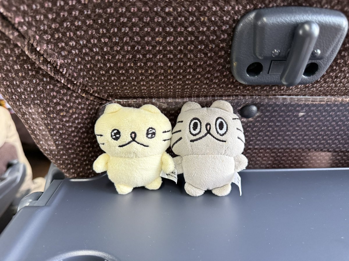 cckey_kyo's tweet photo. しゅっぱーつ‼︎
ﾜｸﾜｸ〻ʘᴥʘ〻( ・ᴥ・)ﾄﾞｷﾄｷ https://t.co/cm7vsGNUXq