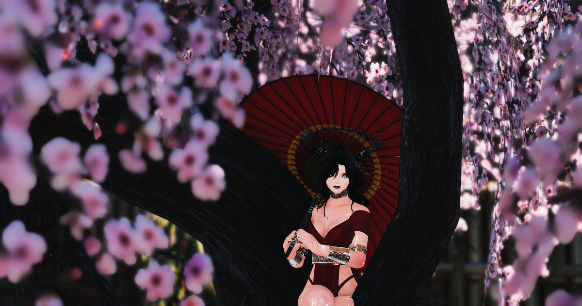 EjinnEri's tweet photo. I feel a warm wind blowin'
 Melting all the sadness off of my soul 
And I smell the sweet cherry blossoms 
Pouring all their gladness, into my soul https://t.co/h5xJiGHLtR