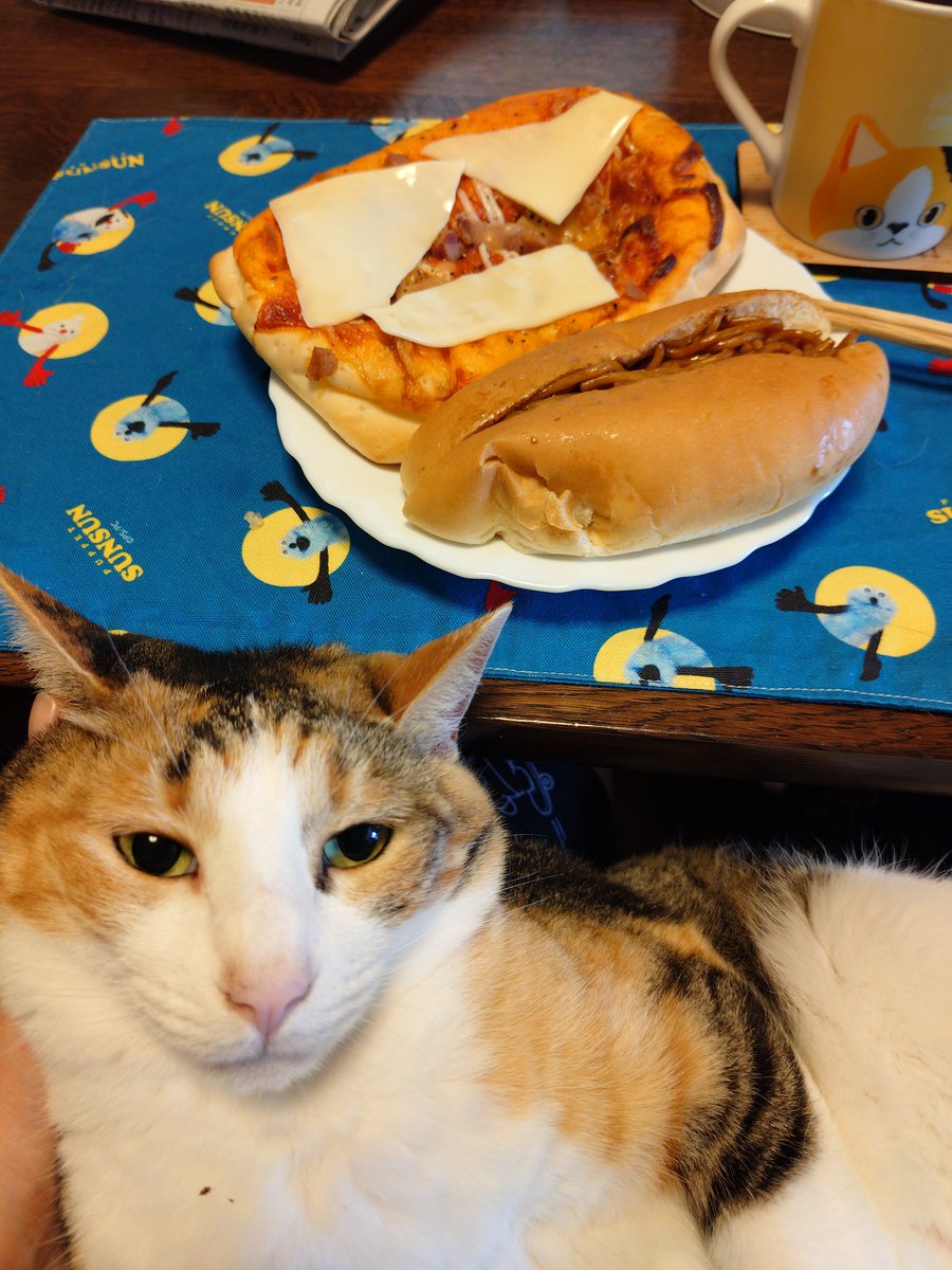 kawaii_nekoniko's tweet photo. ピザパン追いチーズ焼きそばパンたべました https://t.co/iMEz2WnXIN