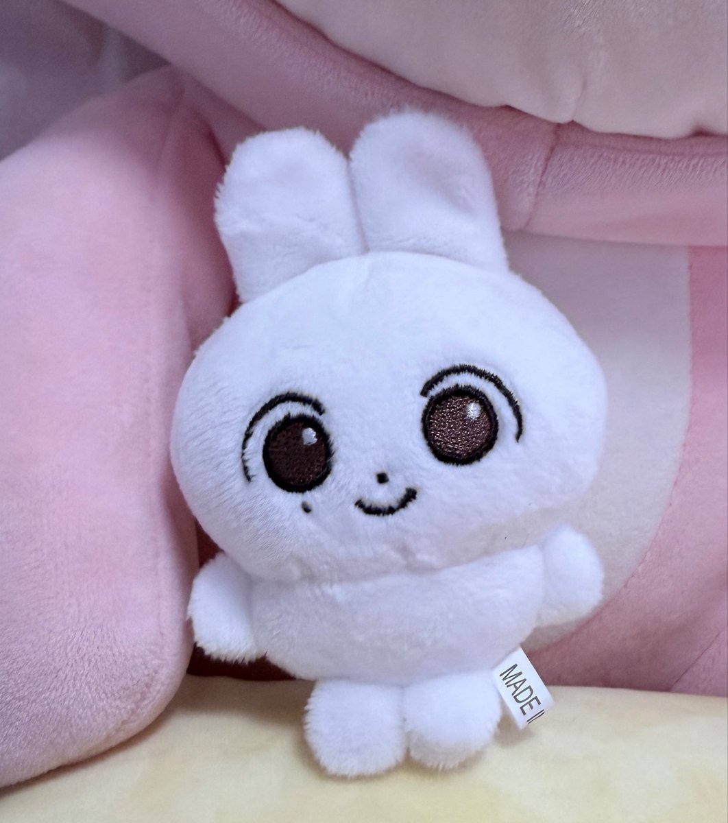 haniyoonni's tweet photo. 한입쫑 쫑모찌 인형 구매하고 싶어요～⭕️WTB
편하게 연락주세용~
다른 엽서나 굿즈또 받고 있습니다🥰
https://t.co/pTgk3KIse1

에스쿱스 정한 조슈아 준 호시 우지 디에잇 도겸 승관 버논 디노 한입쫑 쫑모찌
세븐틴 정한 쫑모찌 https://t.co/eeI0Wdn4Ko