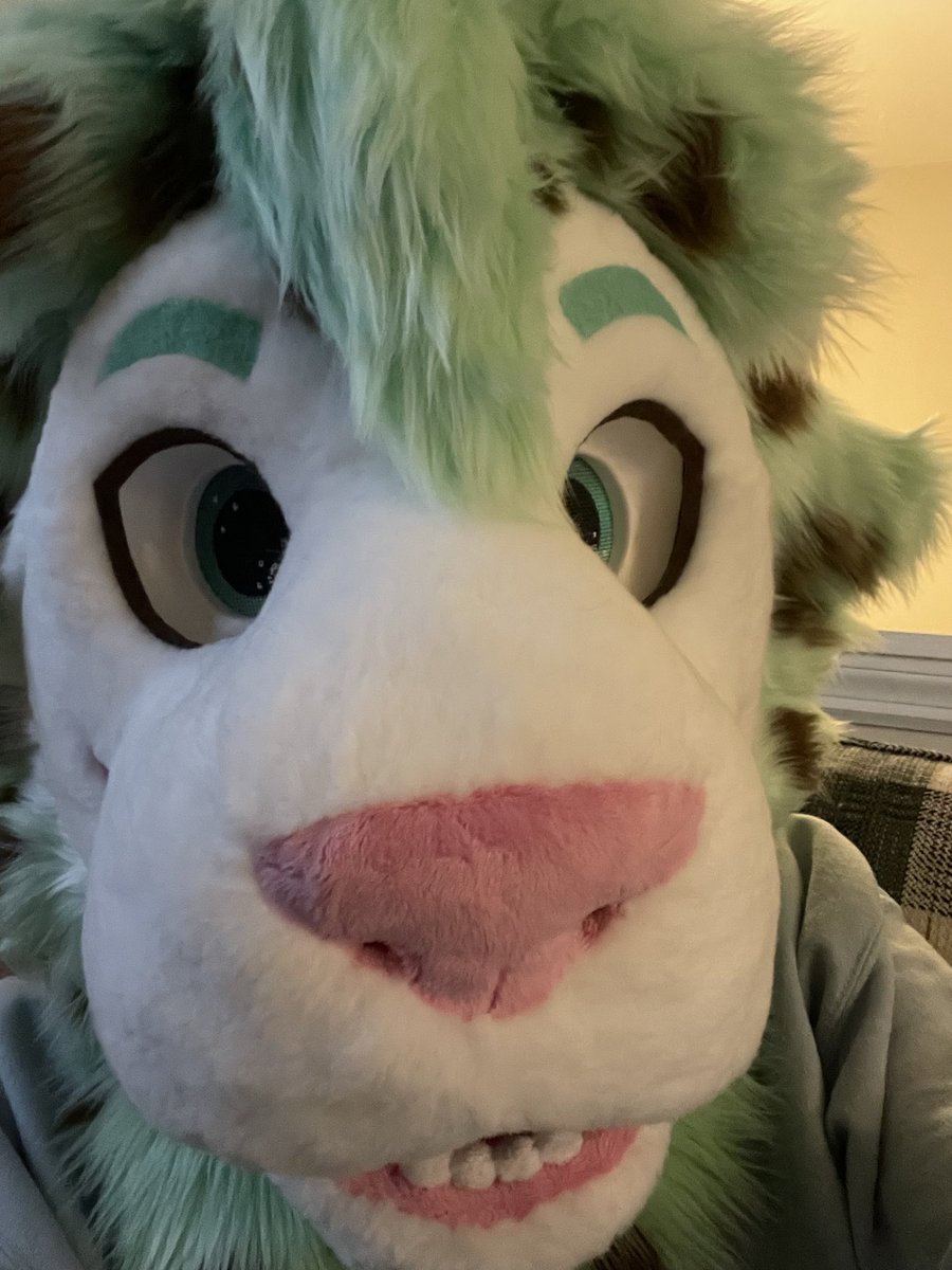 minty tweet media