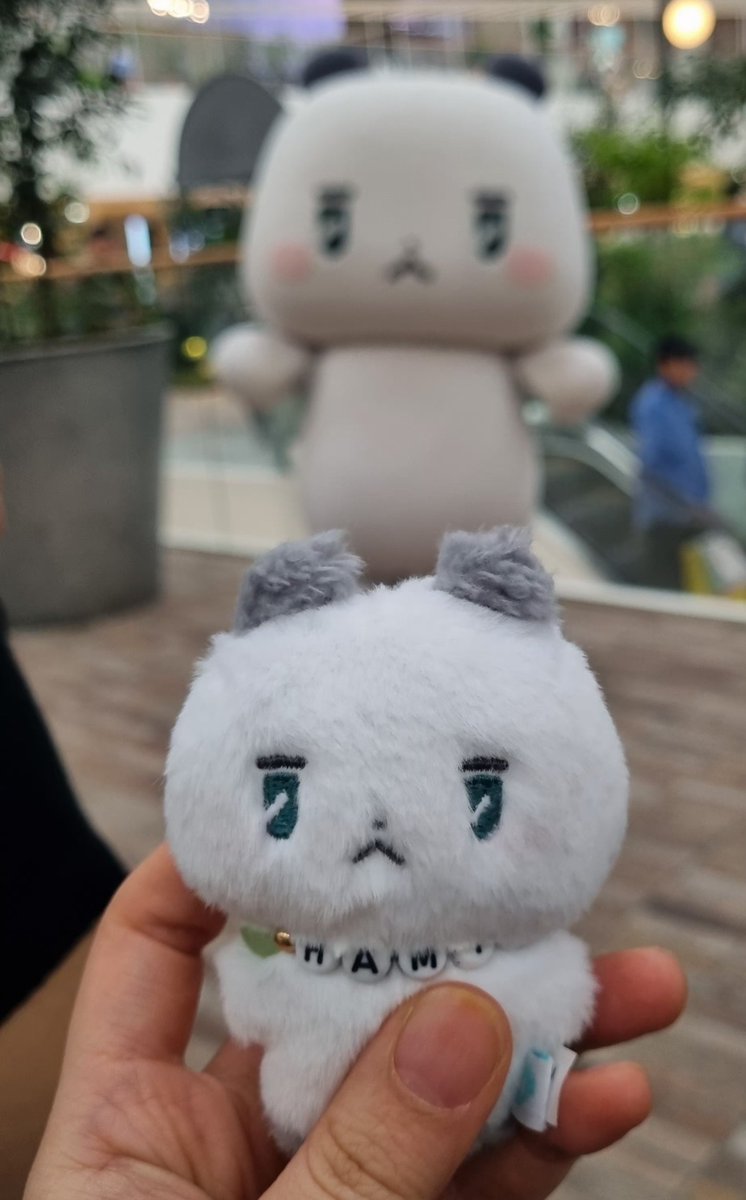 pa_pus's tweet photo. 저번달말 잃어버렸어ㅠㅠ 하필 블샵 재고 들어왔다 끝난이후에
먀미 키링 구해봐야지.. https://t.co/gEhJ2qSlAx