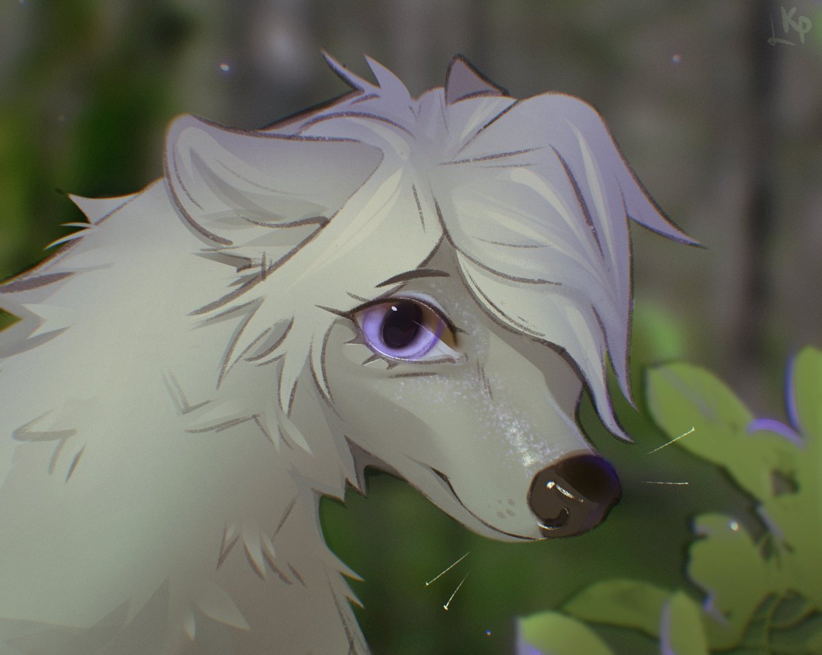 koerpink's tweet photo. Lilly from Alpha and Omega

#artwork #fanart #furry https://t.co/G2W1SJ7Osq