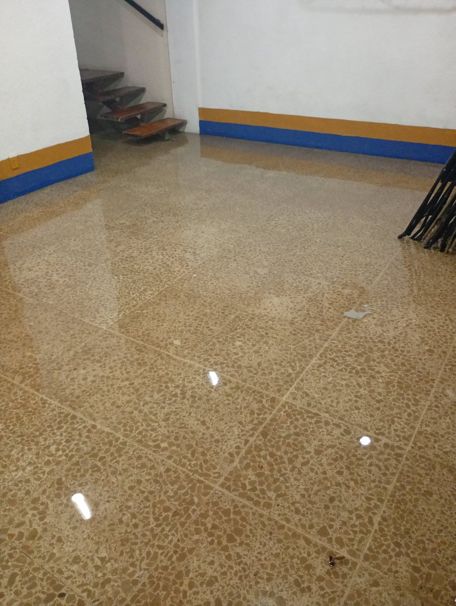 homeroni's tweet photo. @TlalpanAl  urge bactor colonia ampliación Miguel Hidalgo calle boulevar Benito Juárez, referencia la California https://t.co/3ASnWkZSJY