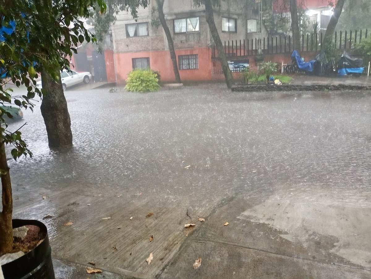 homeroni's tweet photo. @TlalpanAl  urge bactor colonia ampliación Miguel Hidalgo calle boulevar Benito Juárez, referencia la California https://t.co/3ASnWkZSJY