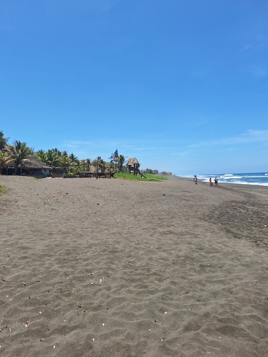 Joe7gt's tweet photo. Hoy toco procurar en la playita https://t.co/FtSEMjwjK5