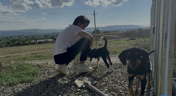 nMVw8hjSj3BD3NU's tweet photo. #山下智久
やまぴー出演🐶🐩🐕‍🦺🦮
楽しみ😊 https://t.co/MTDFJZbQoY