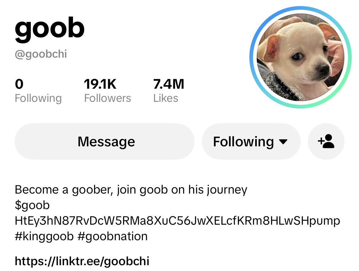 MorstonArthur's tweet photo. $Goob looks good too here! @goobillions 

19k tiktok followers in just one week and over 7 million likes. $Goob is one of the most viral dogs on tiktok 🔥

Take two minutes to check out what $Goob is all about, you might be surprised. The biggest regret is often saying, “I saw it early, but never looked into it” 

Ca: HtEy3hN87RvDcW5RMa8XuC56JwXELcfKRm8HLwSHpump