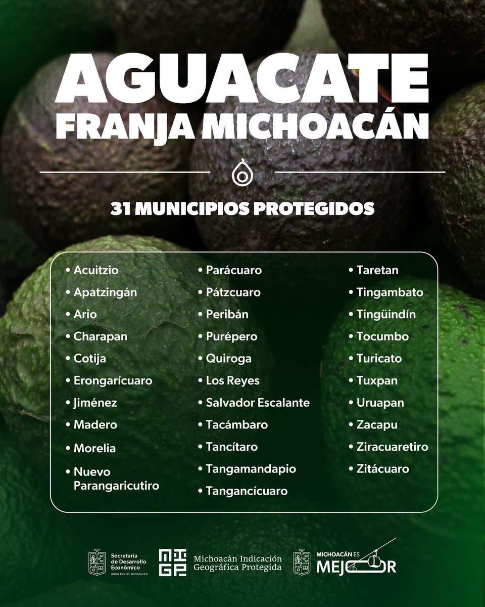 SEDECO_Mich's tweet photo. 🥑 La Indicación Geográfica del Aguacate Franja Michoacán protege mucho más que un nombre.

Detrás de este reconocimiento hay 31 municipios que comparten un territorio, una tradición productiva y una calidad que hoy cuenta con respaldo oficial.

#MichoacánEsMejor https://t.co/Za8nXoUTCE