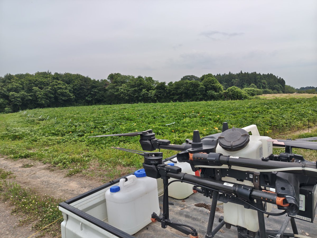 GoVegetar's tweet photo. 今夜あたりから、また天気が梅雨らしい不安定になる雰囲気なので、防除してます。第一第二は背負い動噴で。第三第四はドローンで。
全部ドローンでできれば楽なんですけどね。圃場条件がそれを許さない。
#豪族野菜 #豪族カボチャ #カボチャ #農業 https://t.co/CFa8EVhCdY