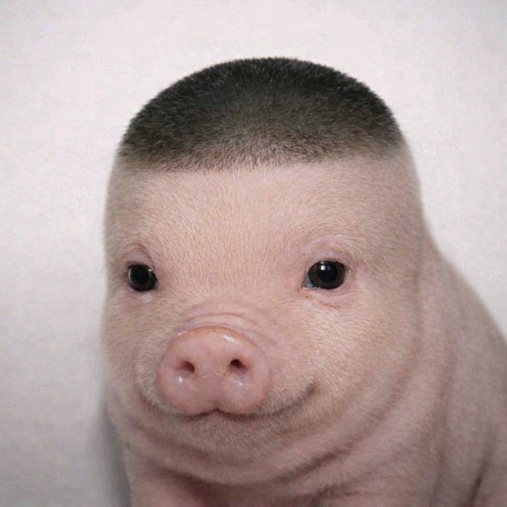INTERNETZKAISER tweet picture