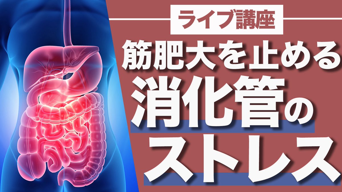 NextfitNC's tweet photo. 本日19:00~のライブ講座‼︎

「筋肥大を止める"消化管ストレス"」

栄養吸収率低下や疲労回復鈍化など、筋肥大に様々な側面で影響する消化管ストレスの軽減方法を解説します。

参加希望者はHP内の"ライブ授業"からご確認ください。

※NNC生は無料でご参加いただけます!
https://t.co/Tv9Dp2ieRq https://t.co/VsNBFWBsgO