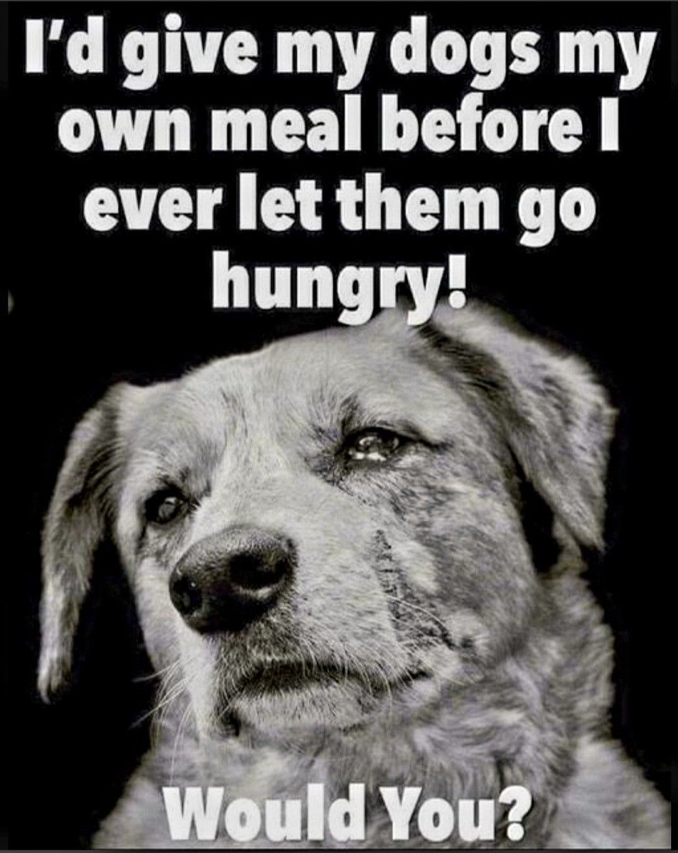 DogLovers03's tweet photo. https://t.co/OEo4rPlaU2