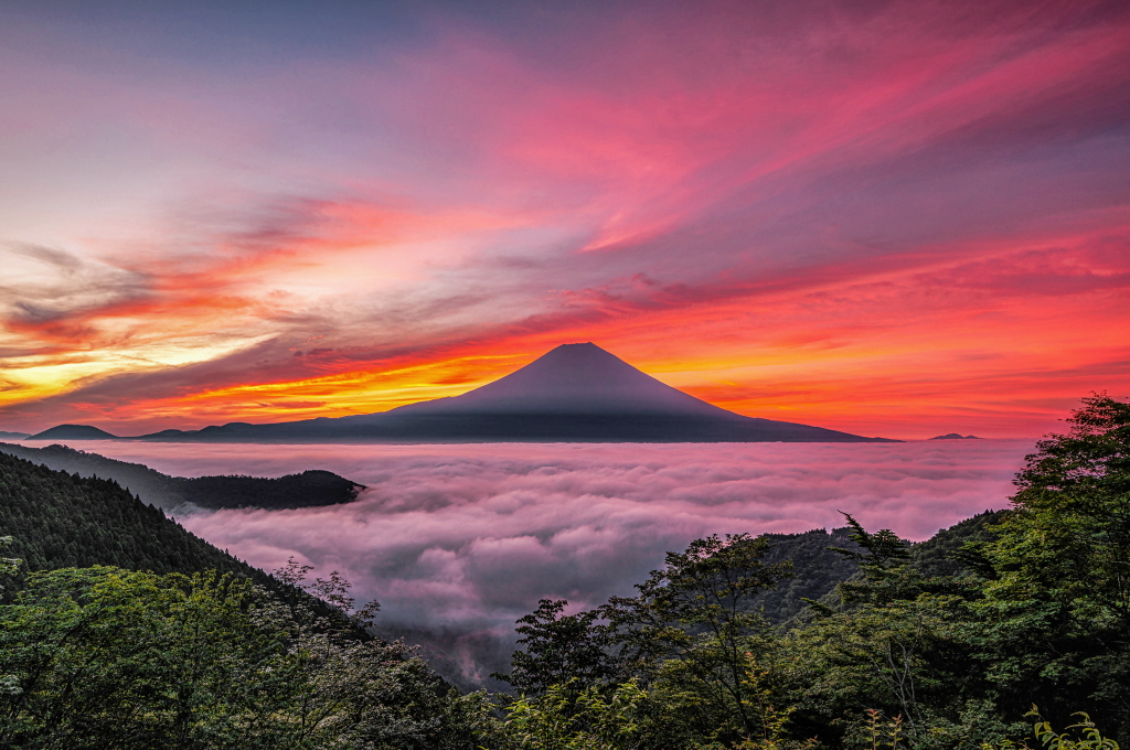 taitan21's tweet photo. おはようございます。
高原に広がる雲海越しに見る富士山と朝焼けの風景です！ https://t.co/olp7oOGeba