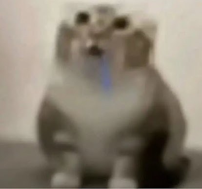 droolingcatsol's tweet photo. Fried ass cat with the stupid stare,
Mouth wide open, blue drool in the air.
Reddit called it in HelpMeFind’s plea,
Low-res legend, set the memers free.
Guh guh guh—our sacred chant,
Crowds assemble, in drool we pant.
From X to Google, the faithful rise,
Blank-eyed kings with no disguise.
One blue string, our holy sign,
Stupid and pure, forever divine.
Join the horde, feel the meme flood—
Drooling Cat reigns in meme blood!