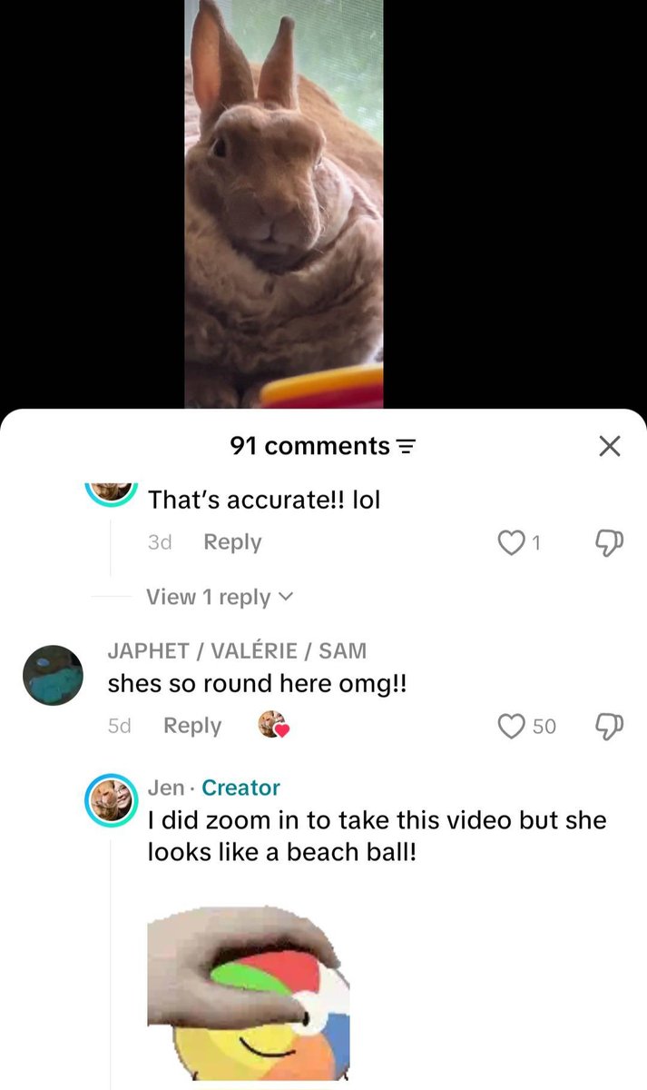 Objects in the Wild tweet media