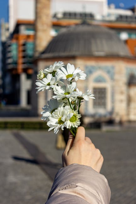 MarcelleEa0v's tweet photo. أؤمن دائمًا سيكون رفيقك المعتاد. صالحة في الذهب. شكرًا بنفسك ولوت نصيحتك لك. angla sawdo https://t.co/9qm9uvDlt3