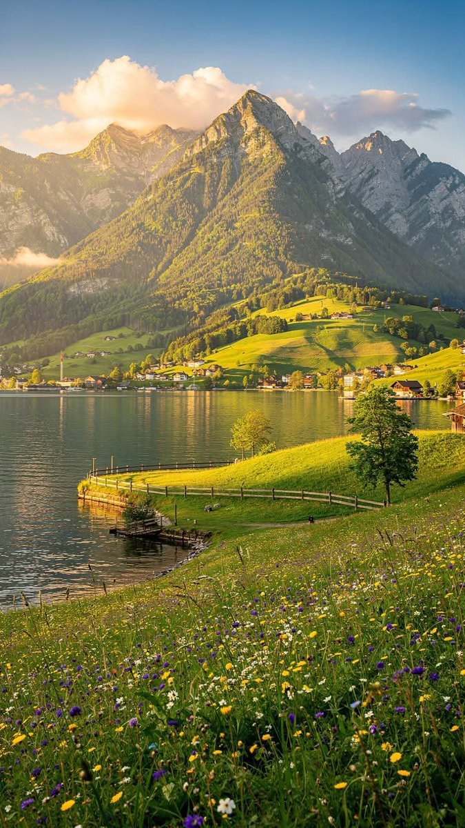 earthwhisperss's tweet photo. Nature therapy, Switzerland https://t.co/mvoeGKv4Kb