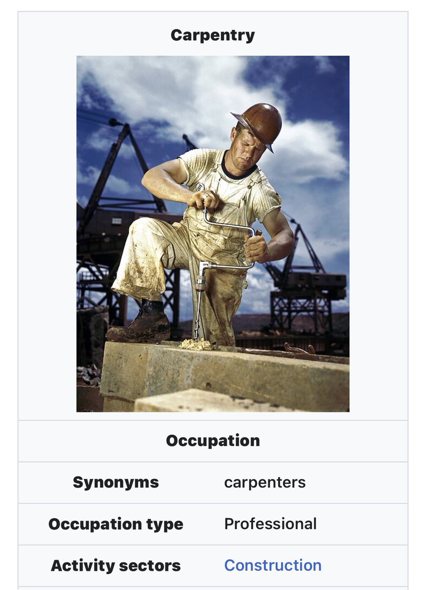 sadreturns's tweet photo. official Wikipedia photo for the Carpentry article is so majestic it nearly took my breath away https://t.co/m5cCgGBAoE
