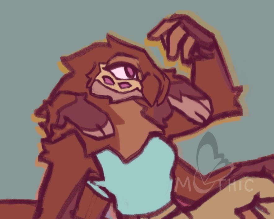 MothicDaze's tweet photo. Concept doodles of Helen (she/her, femme) a regal jumper with rose hair tarantula in her bloodline!
#anthro #arachnoid #bugoc #characterdesign https://t.co/lEhdBOy6gP