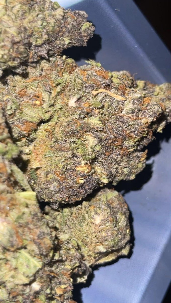 22_videla's tweet photo. And strain ?Cardápio📋👇
https://t.co/dx32oeNRq3

COMPRA MACONHA 

ENTREGAS RÁPIDAS E DISCRETAS 🍁💚🛵

#delivery #Recife #maconha #maconhaRecife #skank #maconhaemRecife #colombiagold #campinas #osasco #maconhaembh #cremas #ice #fullmelt #cremas #crumble #maconhasp #prensado  #cannabis #Jundiaí #haxixe #Rio #sorocaba #Maceió #Salvador #Bahia #Fortaleza #manaus #florianopolis #capulho 
Maconha em Recife