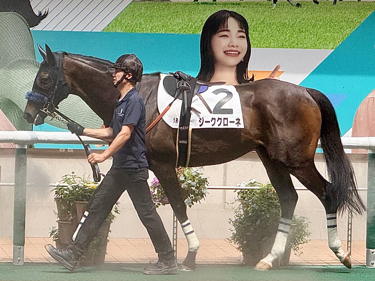 dmm_banusy's tweet photo. #ジーククローネ
障害3歳以上オープンのパドックの様子です。

DMM バヌーシー https://t.co/caT5GpRJkD