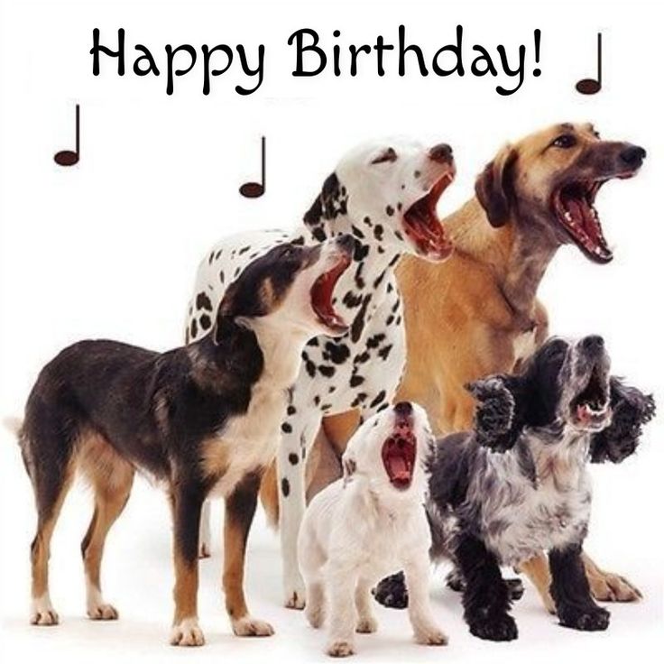 vicsusan17's tweet photo. @michaelrosenbum  shalom michael.  Yom Huledet Sameach on your special day, enjoy your day with friends, toka https://t.co/WTkrNPQYay