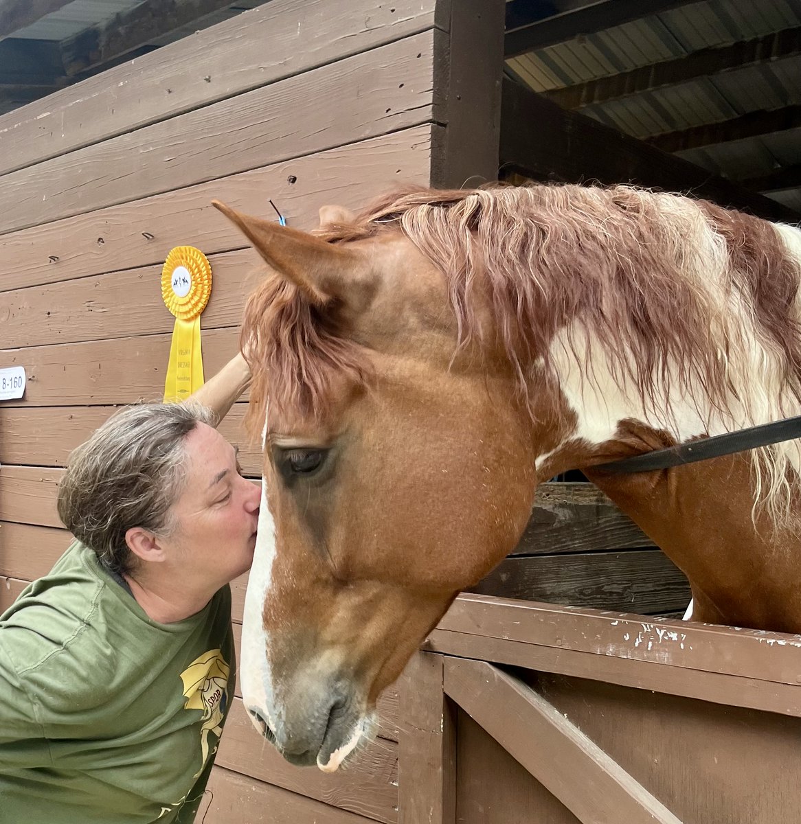 PeaceHillFarm's tweet photo. Firefly update!

We know we have lots of Firefly fans out there. (She's our ridiculously friendly and  VERY food focused red and white Hanoverian-Draft cross mare. If you've ever camped on or toured the farm, Firefly has tried to raid your pockets for treats.) https://t.co/sovzJ0bdcA