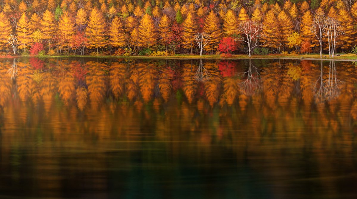 kuroneko_no_pei's tweet photo. 紅葉鏡 https://t.co/zwR1BGgv0Q