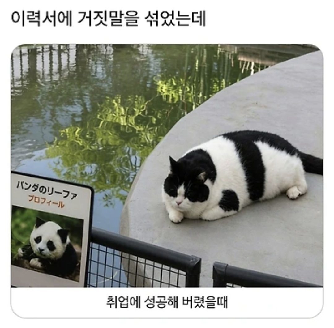 healing824's tweet photo. 이력서에 거짓말을 섞었는데 취업되버렸다. 😅 https://t.co/r9HNVSQ7gV