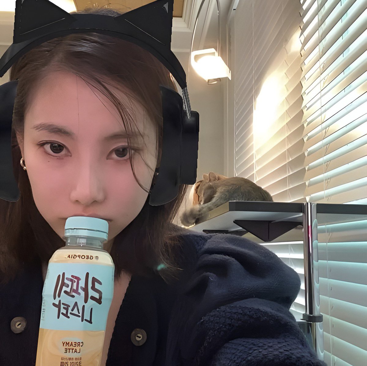 obliveronique's tweet photo. ㅤ ㅤ  
ㅤ ㅤ   　https://t.co/4GTCIUeAj4ㅤ ㅤ ㅤ going back to my roots (pun intended) as i study again this forsaken first year topic. 
ㅤ ㅤ https://t.co/34j0pTZD2o