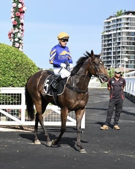 StrongBldStock's tweet photo. We have a Boss (R6) and a King (R9) representing the team today for @tjgollanracing 👑. The duo will be piloted by @maloney777 who has had success aboard both of these geldings and can add to that today 💪 Good luck to connections 👏 #BossedUp #KingKapa https://t.co/YaCgaxiUEw