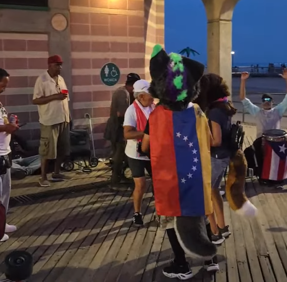 rowaanfox's tweet photo. WHO are these two furries at coney island right now at the time of posting (via live stream) https://t.co/h4cNjIXn1Z