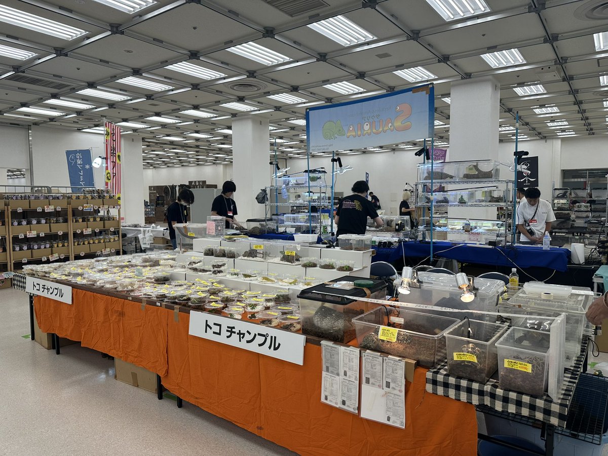 chantama_87's tweet photo. 東レプ2日間たくさんの方のお話できるのを楽しみにしてます🫶🏻🫶🏻

ブースはABCDホールの入り口入ったら真っ直ぐ！のまんなかぐらいです☺️✌🏻 https://t.co/xrlFIs3ijg