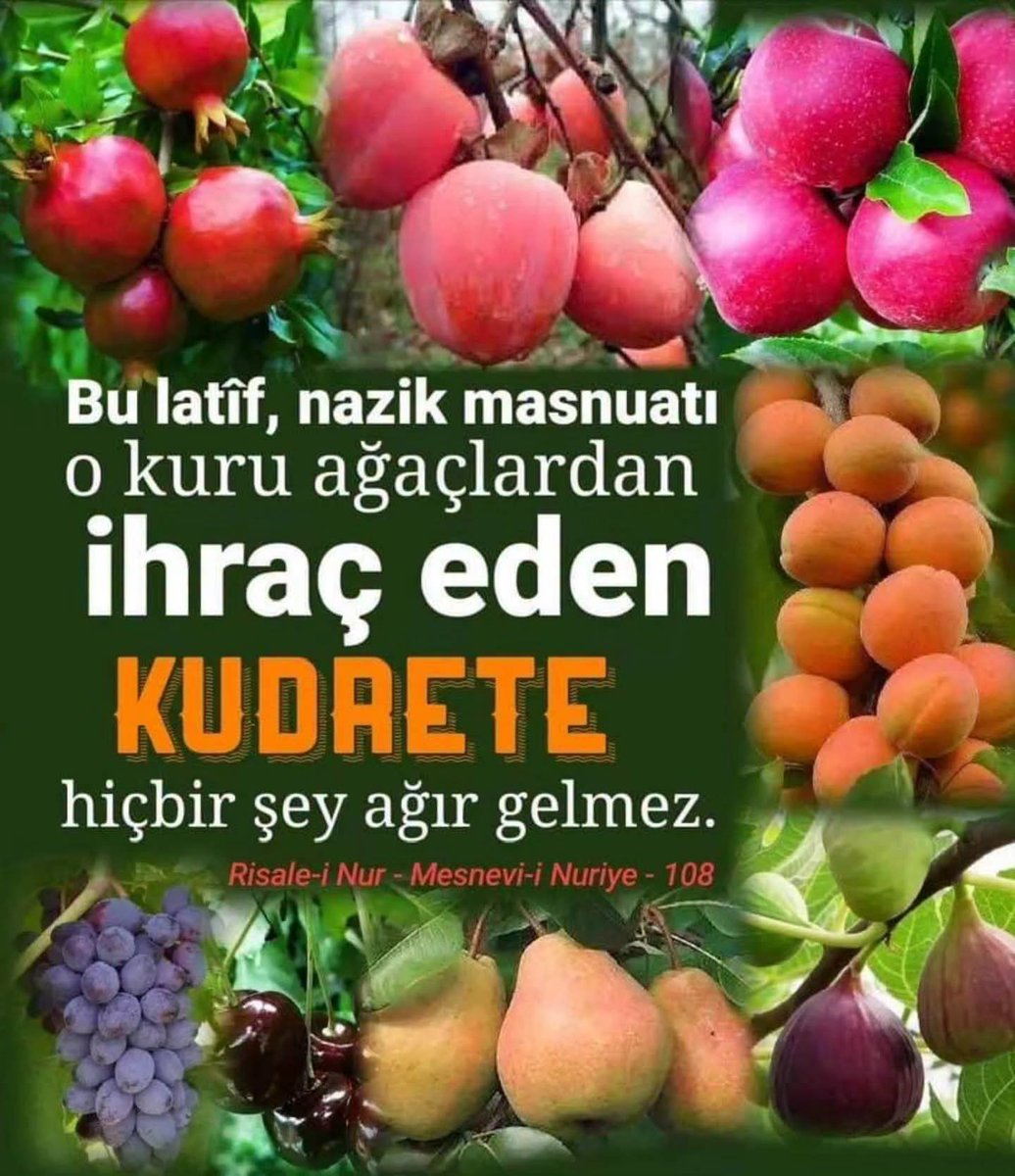 lmiLedn2's tweet photo. https://t.co/5URJmvuKe4