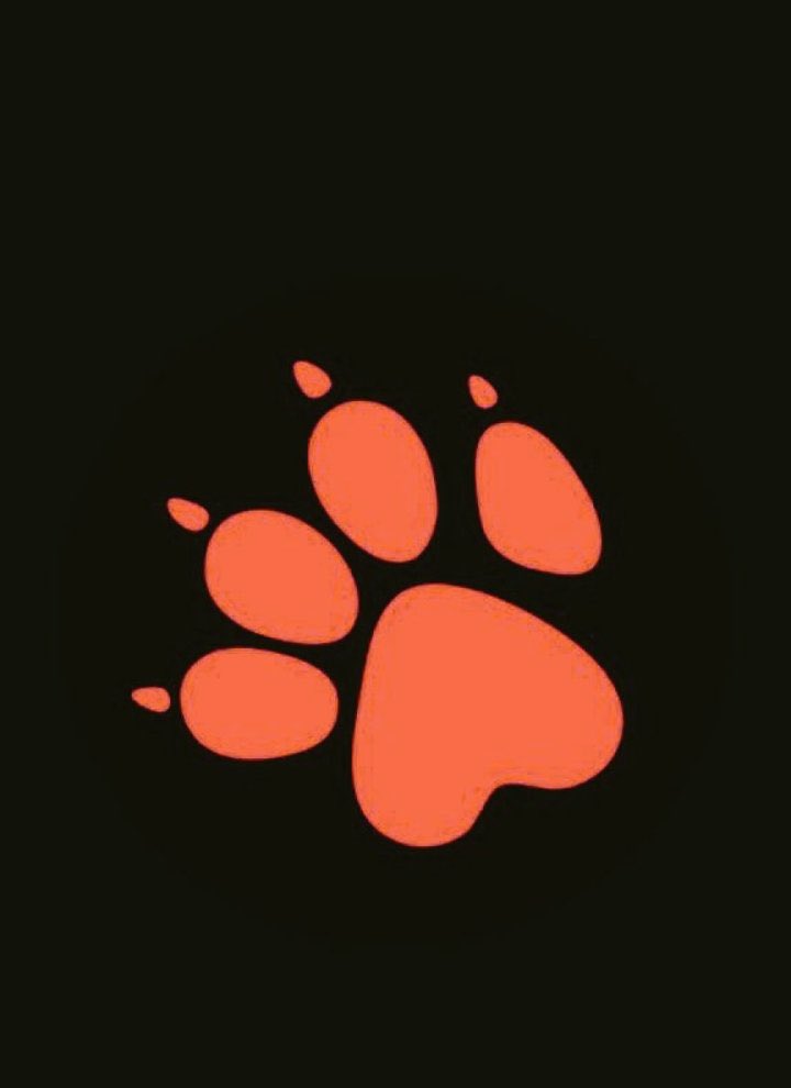 nottylola's tweet photo. Your favorite dogb!tch 
Warning: my latest video might raise your temperature…….. 
https://t.co/sByBDcTADF

#Zoophillia #zoosarevalid #beastiality #zooprideisvalid #zoophile #dogknotting 
#dogsex #k9 #dogknot #bestiality https://t.co/4O0jVY13xF