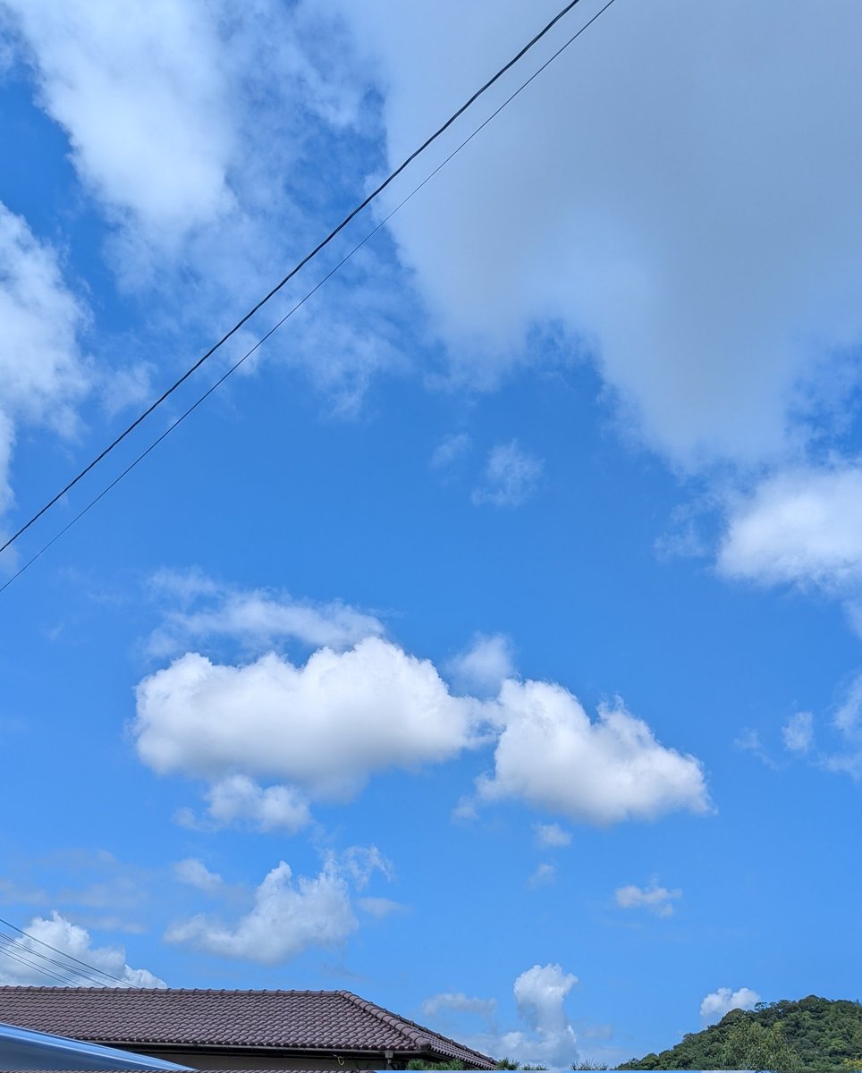 narunarucafe's tweet photo. おはようございます☀今日は空が綺麗ですね！暑くなりそうなので冷たいコク旨アイスコーヒーを淹れてお待ちしてます☕✨️ https://t.co/9tXrFWiGt9