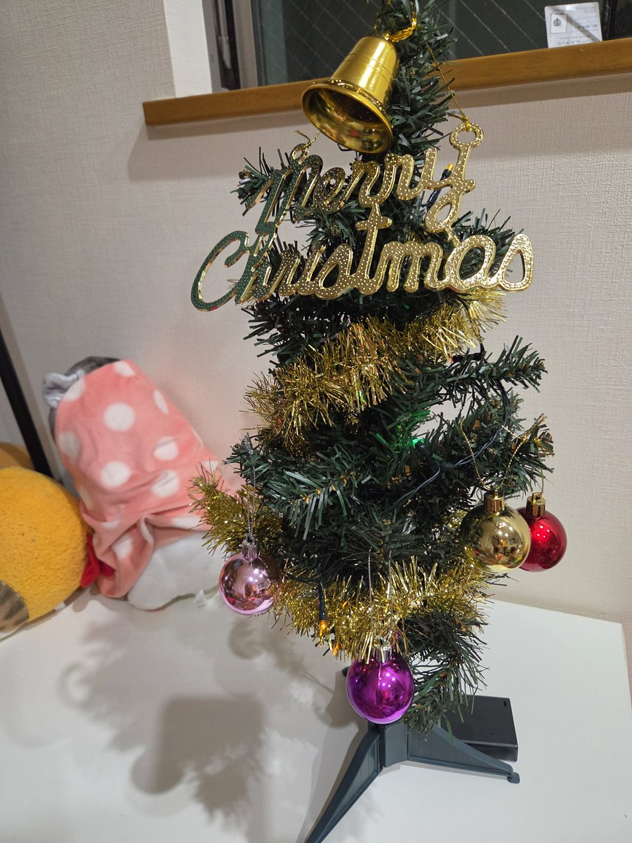 夏に🤷‍♀️ クリスマスの概念がない3歳児