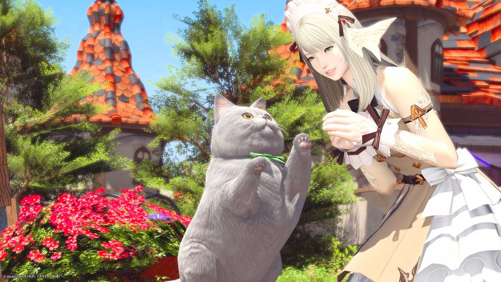 みけ🐱 tweet media
